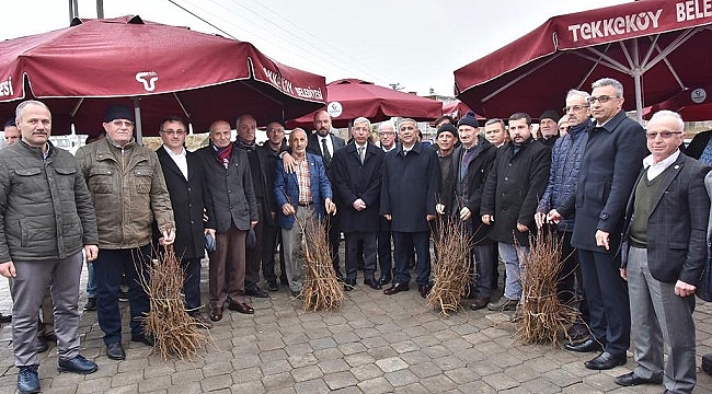 Tekkeköy’de çiftçilere fidan desteği