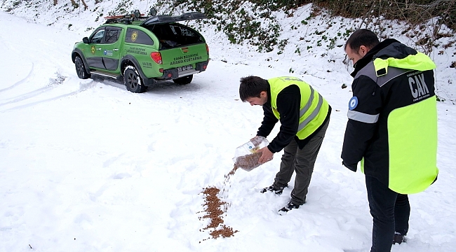 Can dostlara yiyecek desteği