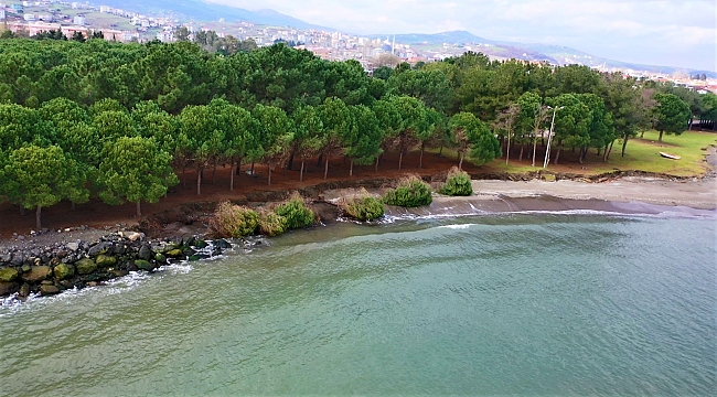 Hırçın Karadeniz ağaçları kökünden söktü