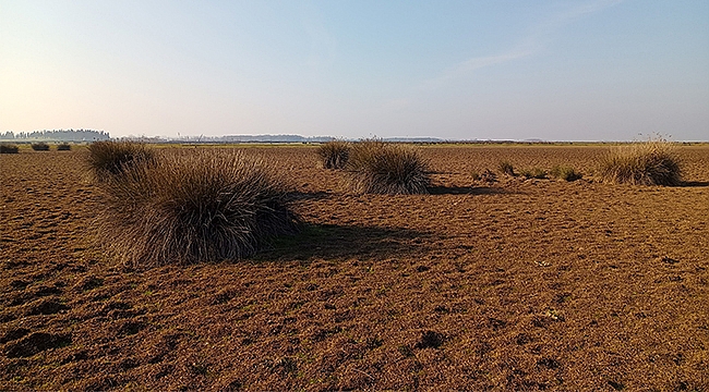 Türkiye kuraklık riskini atlattı diyemeyiz