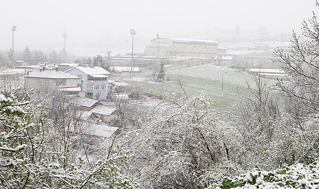 Kavak beyaza büründü