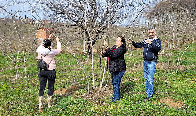 Salıpazarı'nda fındıklıklara kontrol