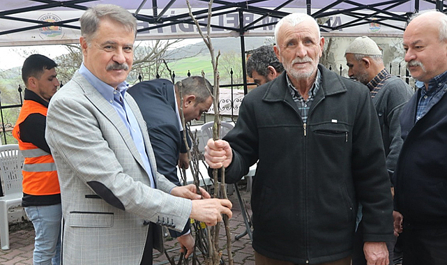 Samsun'da Atakum Belediyesi üreticilere bin adet incir fidanı dağıttı