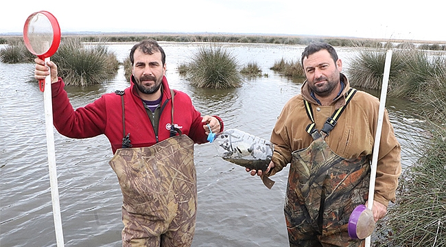 Tıbbi sülükler onlar için ekmek kapısı oluyor
