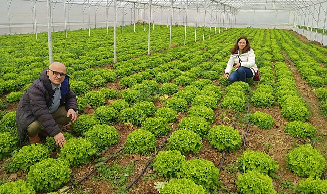 19 Mayıs'ta seracılık yapan çiftçilere destek