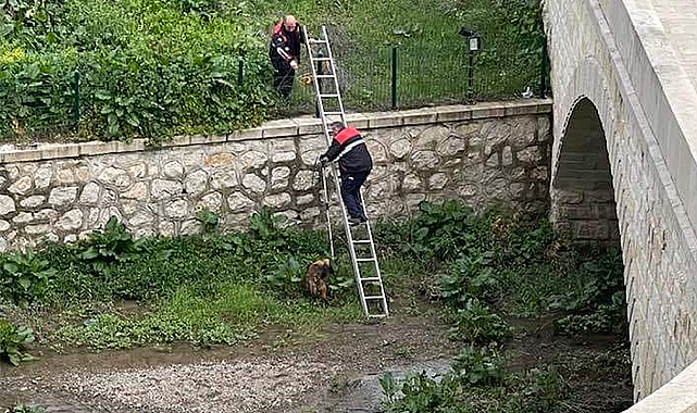 Kavak’ta yürek ısıtan operasyon