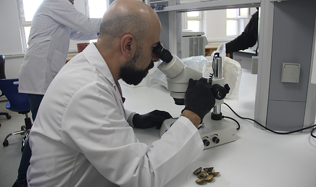 OMÜ'de salyangozdan kanser ilacı adayları ürettiler