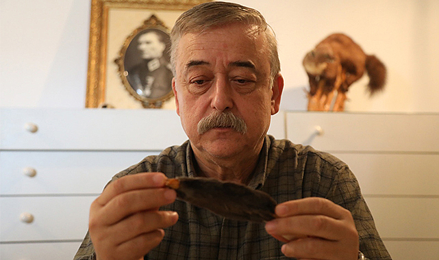 Samsun’da köstebek familyasının alt türü belirlendi