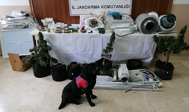 Uyuşturucu üretimi yapan 3 şüpheli yakalandı