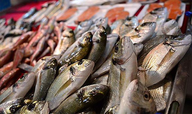 Su ürünleri ihracatı 2022'de 1,5 milyar doları aştı