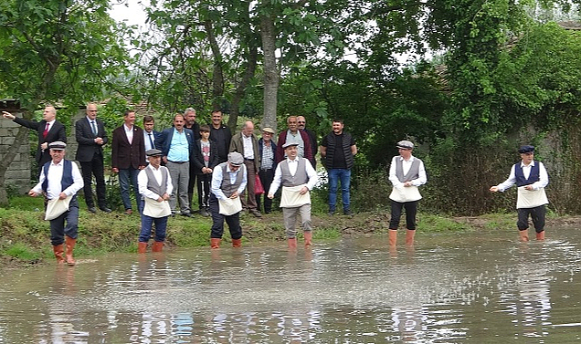 Bafra Ovası'nda çeltik tohumları toprakla buluşuyor
