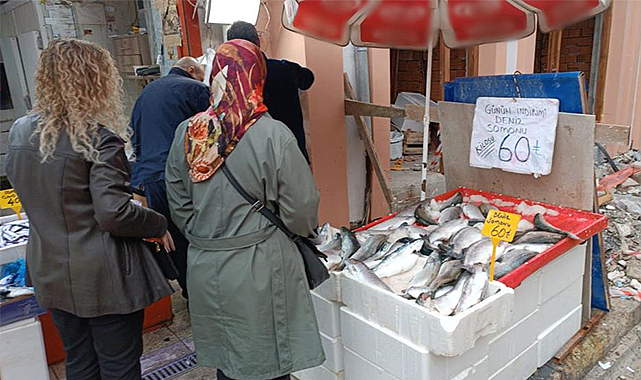 Kültür balıklarına ilgi yoğun