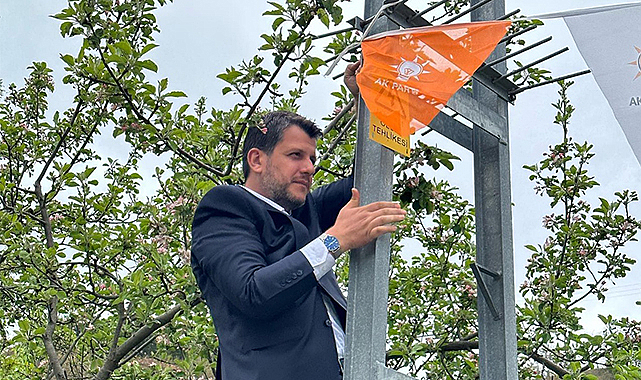 Milletvekili adayı elektrik direğine bayrak astı