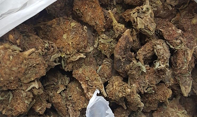 Samsun'da 2 kilo 589 gram skunk ile yakalandı