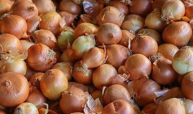 Soğan fiyatı düştü mü? Samsun Pazarcılar Odası Başkanı açıkladı!
