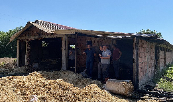 Ahırda çıkan yangında 14 büyükbaş telef oldu