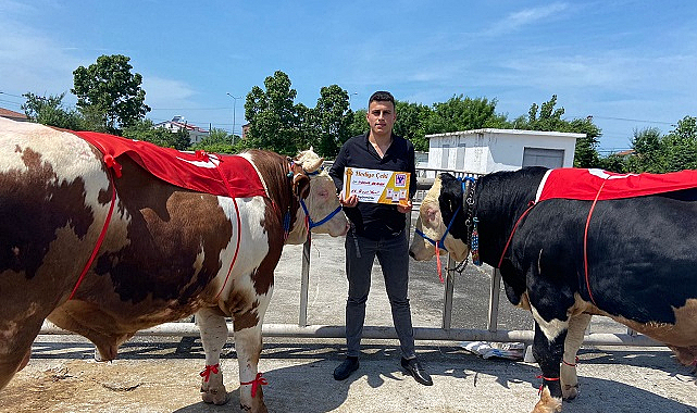 Alaçam'da Hayvancılık Festivali yapıldı