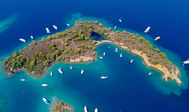 Bahçeli’nin ‘100 il, bin ilçe’ önerisi AKP gündeminde