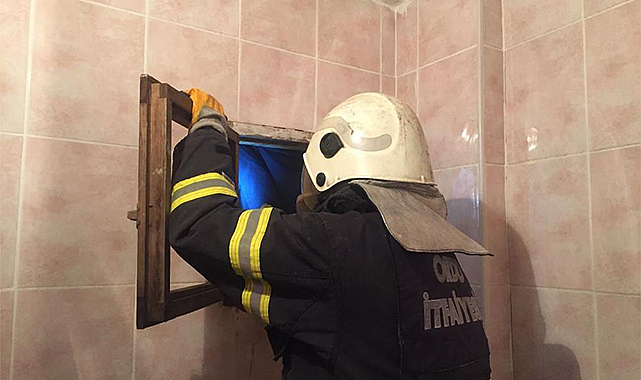 Çatı arasında mahsur kalan kedi kurtarıldı