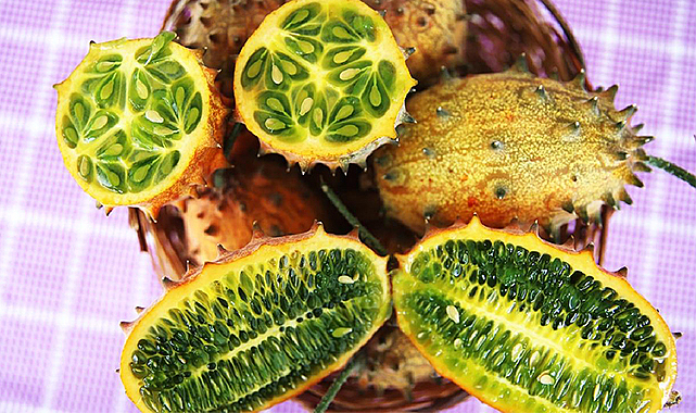 Denemek için ekti, tanesini 30 liraya satıyor