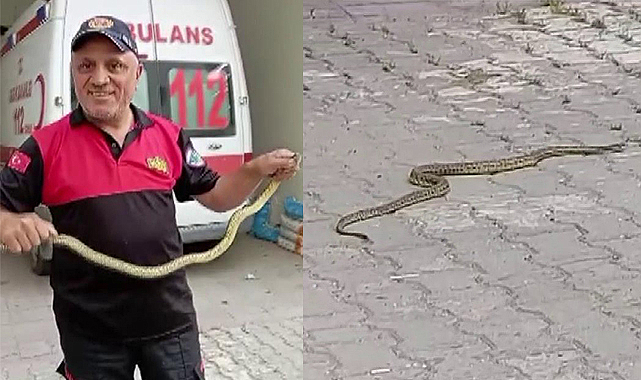 Hastane morgu önünde yılan paniği