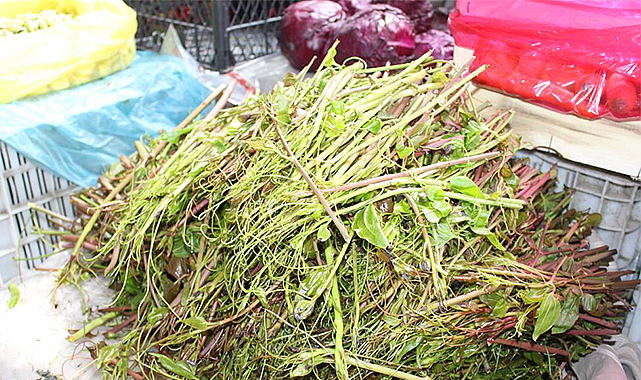 Kırçan otu pazara indi