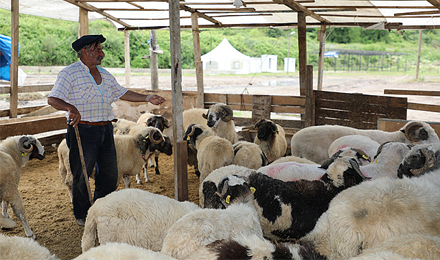 Kurban satış yerinde tedbirler alındı