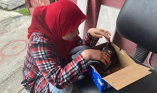 Otomobilde sıkışan yavru kedi kurtarıldı