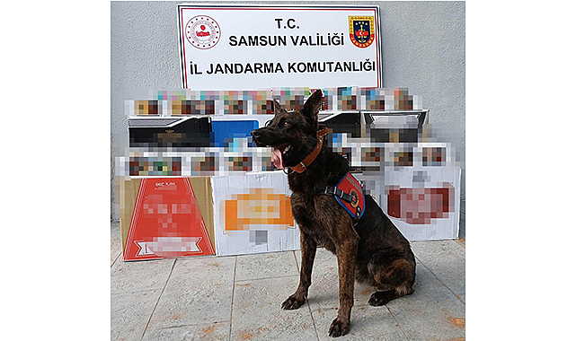 Samsun'da jandarmadan kaçak makaron operasyonu
