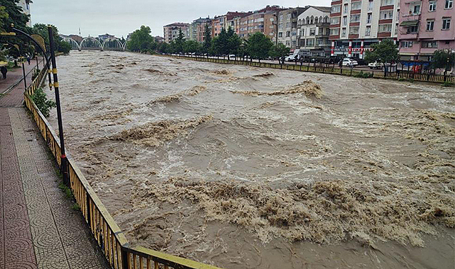Terme Çayı'nda korkutan görüntü