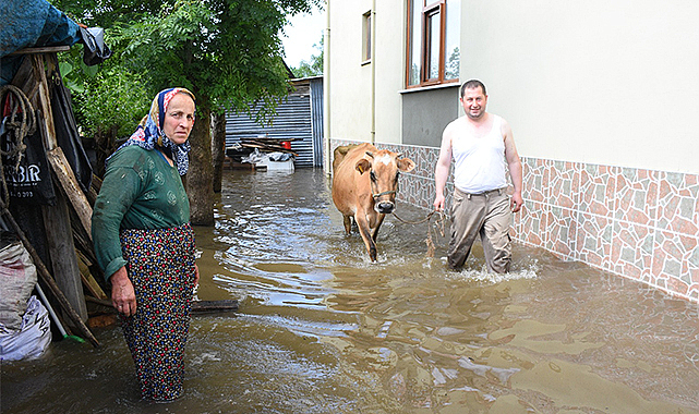 Terme'de sel kabusu! Ahırları ve evleri su bastı