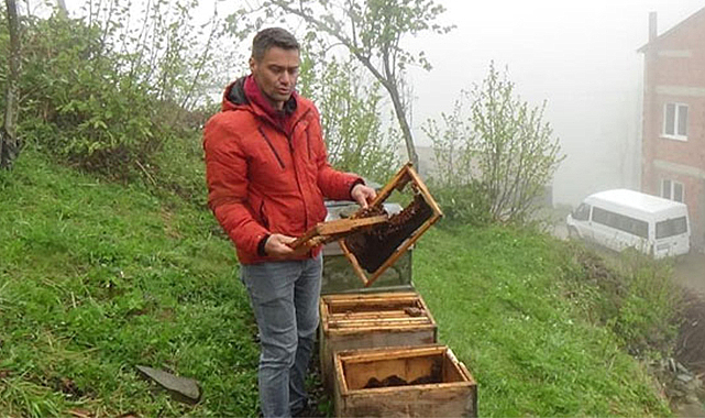 Trabzon’un o ilçesinde ayı kabusu sürüyor