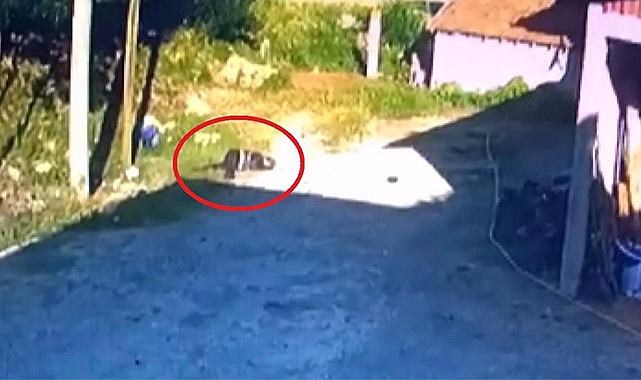 1 kişinin hayatını kaybettiği, 1 kişinin de yaralandığı kaza anı kamerada