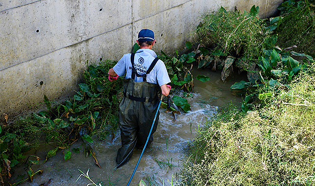 22 bin 500 noktada vektörlerle mücadele