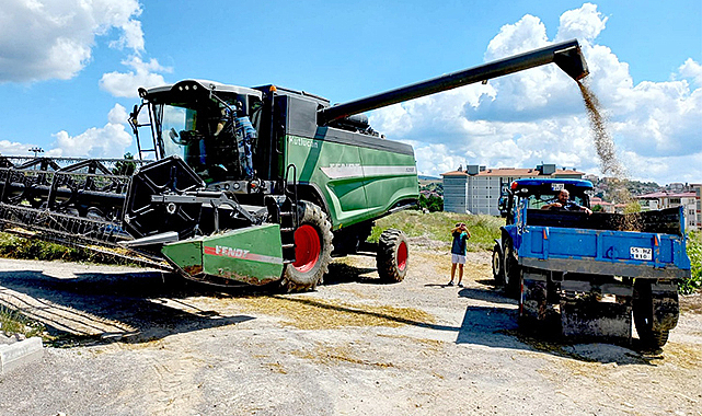 Buğdayda yağışlar yüzünden verim düşük