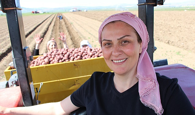 Cambridge mezunu kadın çiftçi, mor patatesi Anadolu’da yaygınlaştırmaya çalışıyor