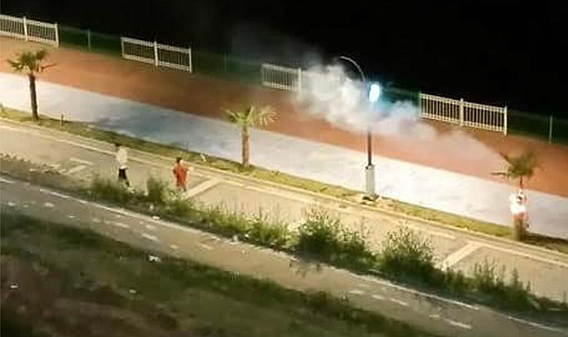 Çarşamba'da ağaç magandaları yakalandı