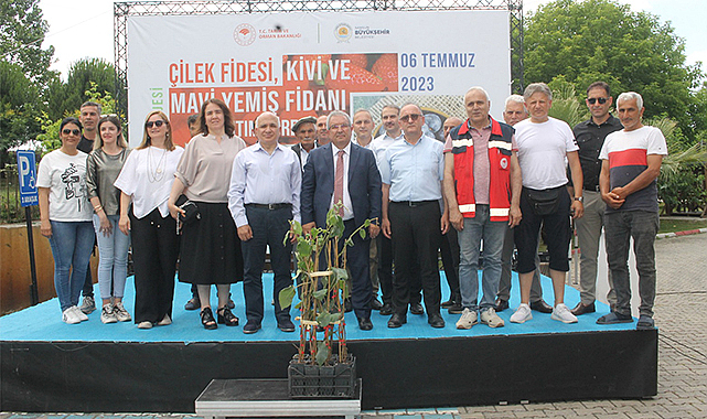 Çarşamba'da üreticilere kivi fidanı dağıtıldı
