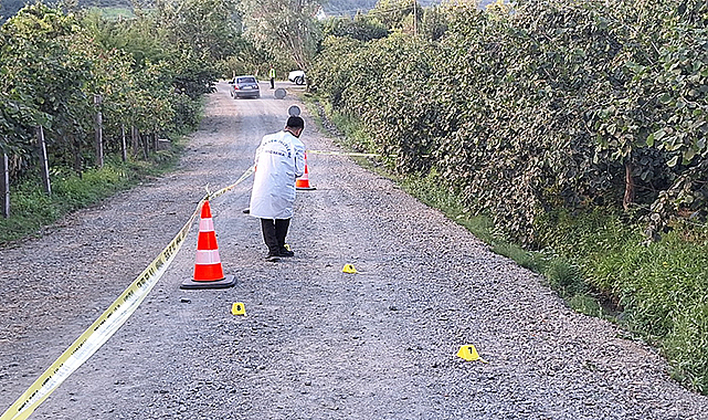 Fındık tarlasında silahlı kavga: 5 yaralı