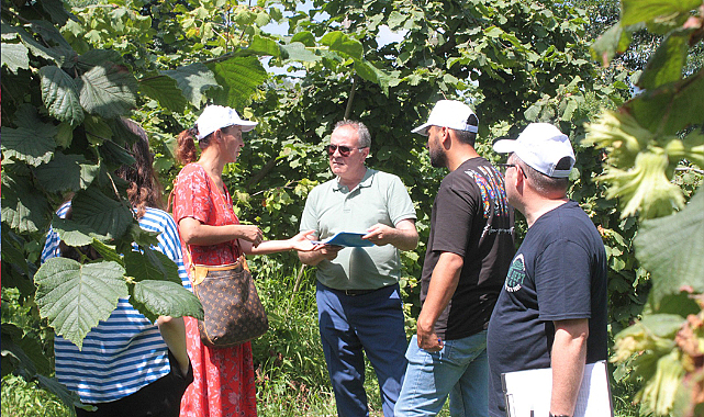 Fındıkta rekolte tespit çalışmaları başladı