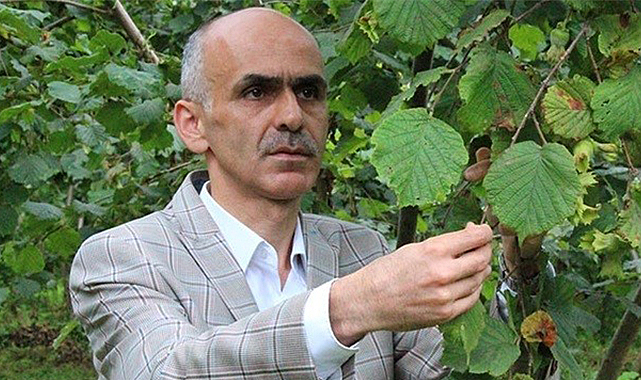 Hasat öncesi fındık fiyatı açıklanmalı