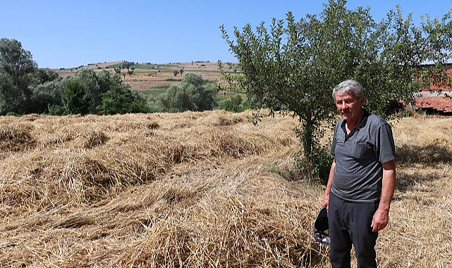 Hububatta dane kaybı ve anız yakma uyarısı