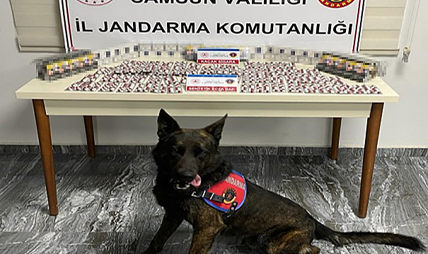 Jandarmadan Samsun'da suçluya geçit yok! 615 kişi yakalandı