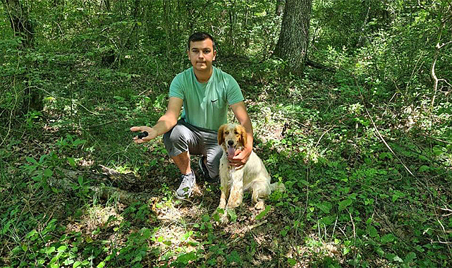 Kilosu iki bin Euro'ya satılan trüf mantarını radar köpekler buluyor