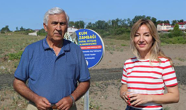 Kum zambaklarına en büyük zararı insanlar veriyor