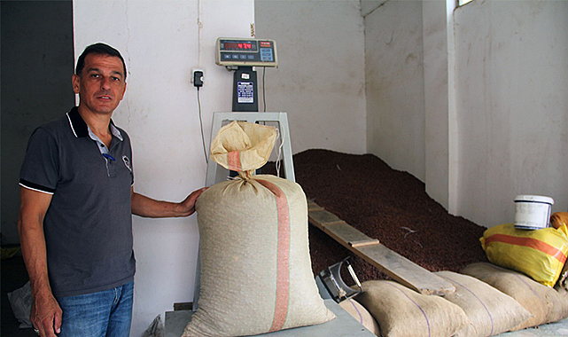 Müjde! Fındık fiyatı yükselişe geçti