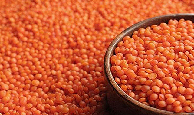 Nohut ve kırmızı mercimekte rekolte yüksek