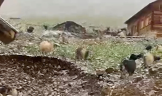 Rize'deki Tahpur Yaylası'nda temmuz ayında kar yağdı