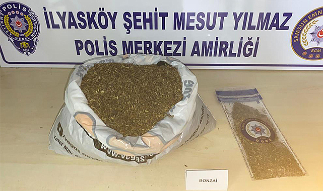 Samsun'da 1 kilo 172 gram bonzai ele geçti: 1 gözaltı