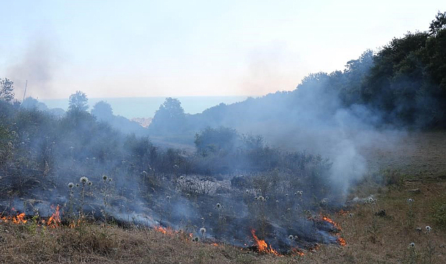 Samsun'da bu yıl kaç orman yangını oldu?